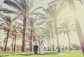 Wedding Photographers Tel Aviv, Israel