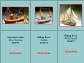 Wooden Model Ship Kits for Beginners