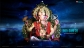 Om Sai Dijital Photo Studio