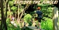 Best Maui Zipline Activities with Discount Offers - Zipline Tour in Hawaii