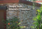 Masonry Contractor Services in san diego