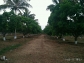 Farm land for sale near navodaya school dharwad