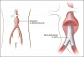 Chicago Radiologists