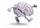 How to improve memory