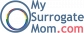 Find Surrogate Mother 