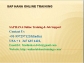 SAP HANA Training and job support