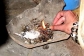 Voodoo spell, revenge spell  Call +27786500619 