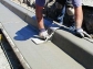 Cement Masons and Construction Helpers Engineers services 