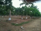 Farm land for sale at affordable price in Dharwad