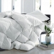 Get Organic Bamboo Comforter at Well living shop