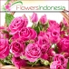 Adorn your relationship on this Mother’s Day by gifting your mother with mind boggling presents
