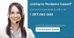 wordpress technical support phone number - 1 877 863 5655