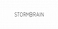Web Design Services - Storm Brain