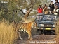 Corbett Riverside Resort Booking  