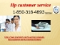 Who is Hp Customer Service team?  Dial on 1-850-316-4893 Toll-Free