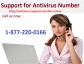 avg support number,norton support number