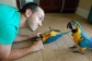 Young and beautiful macaw parrots