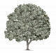 Make thousands of dollars a week! No selling, No buying. Make money now!
