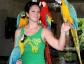 Talking Hyacinth Macaw Parrots for Adoption
