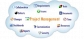 Web based project management system