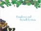Employee and Payroll System