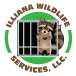 Bat Removal Indianapolis
